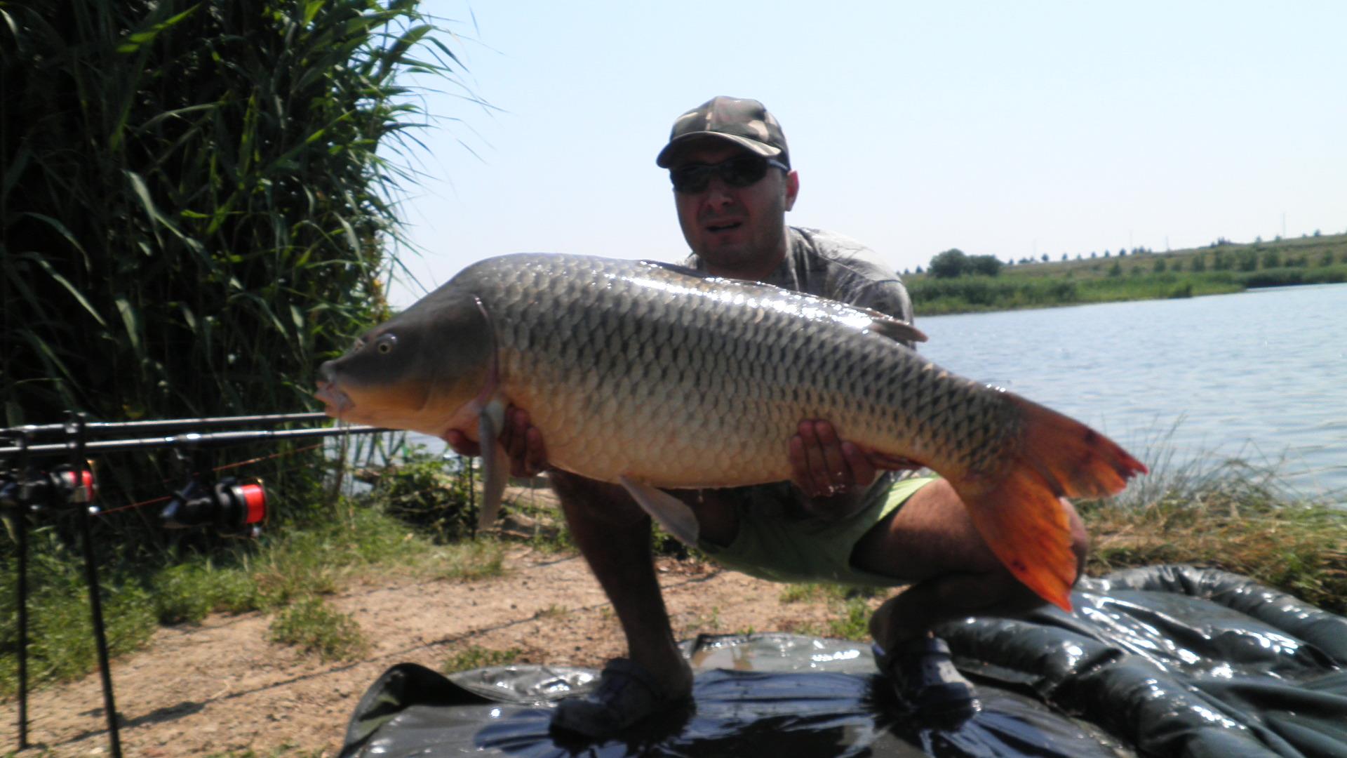 Tancabesti - p7100103.JPG